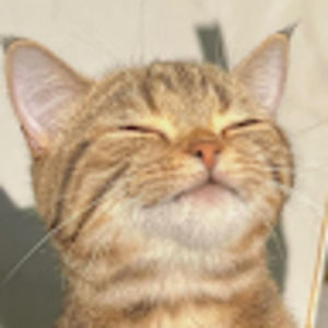 Meet your Posher, Cha'alle